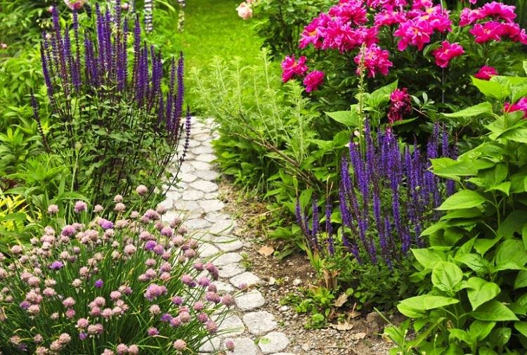 Essential Ways To Keep Your Garden Healthy (2)