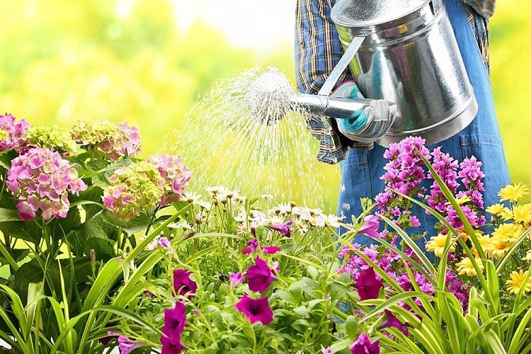 Essential Ways To Keep Your Garden Healthy 5