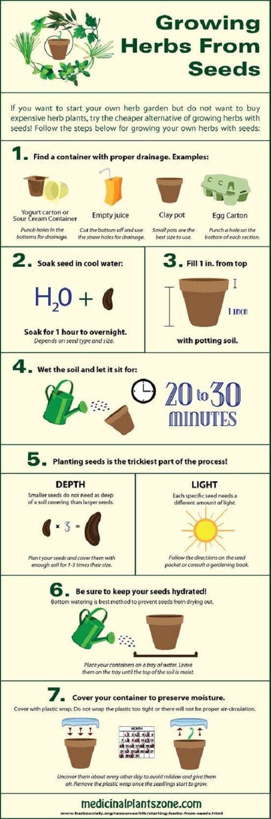 Indoor Herb Garden Infographics (2)