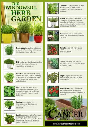 7 Infographics That'll Teach You Everything About Growing An Indoor ...