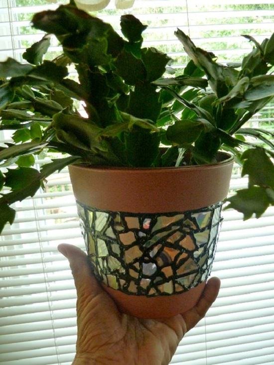 Creative Uses for Old CDs--DIY CD Planter