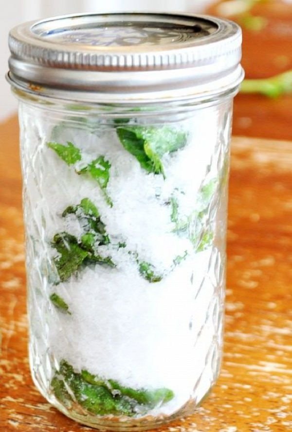 herbs in salt
