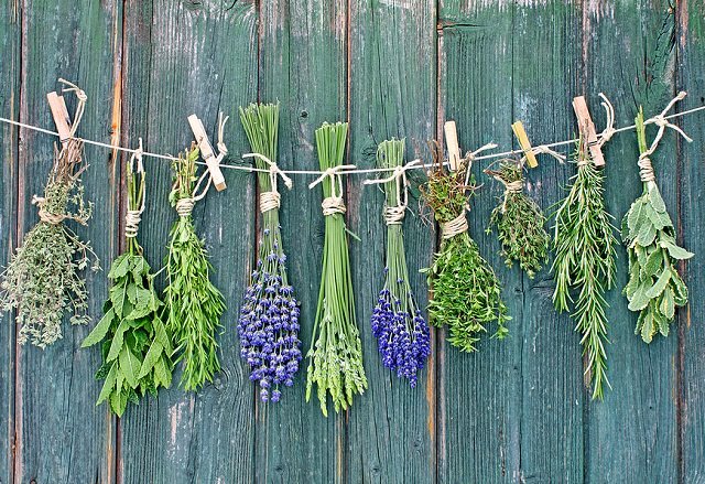 preserve your fresh garden herbs