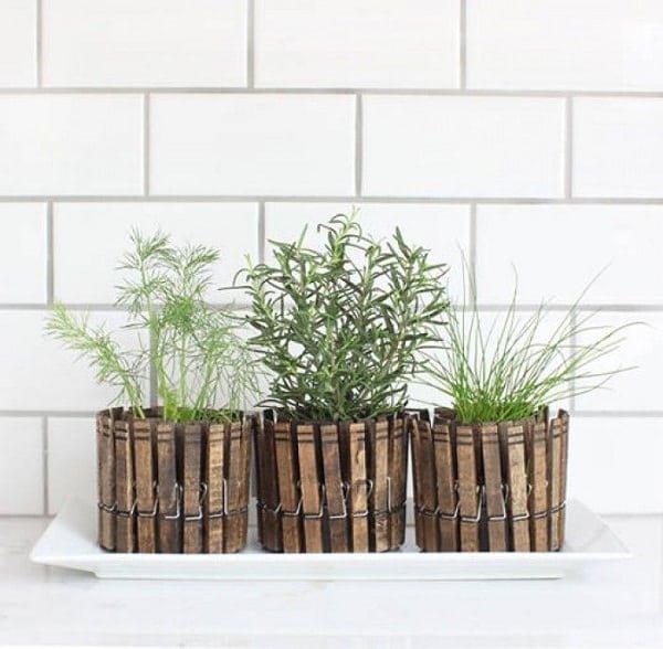 CLOTHESPIN PLANTERS