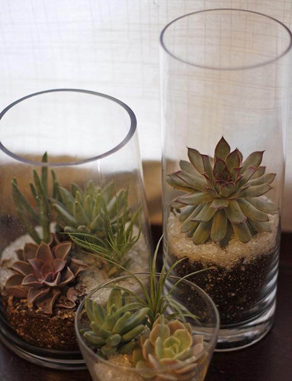 DIY Succulent Glass Planter