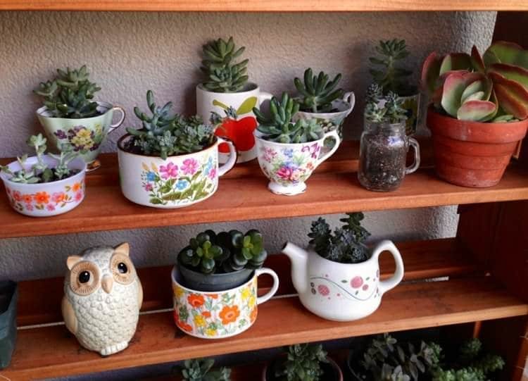Succulent Tea Cup Garden