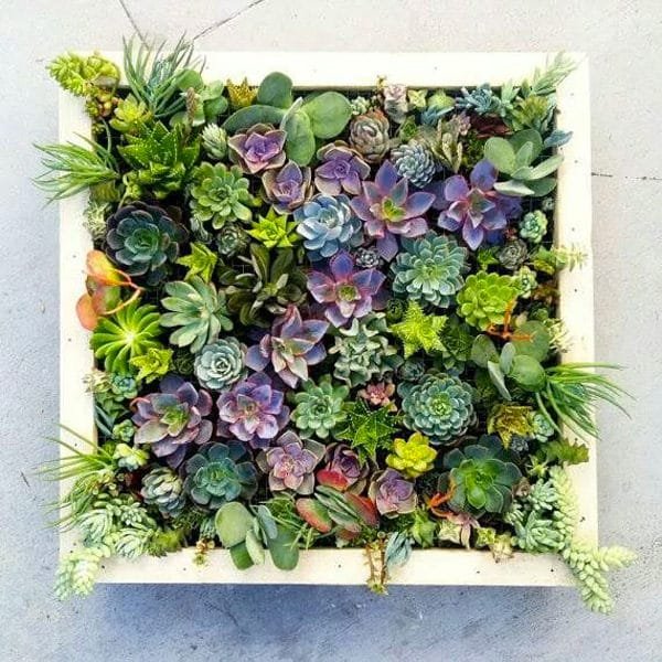 Vertical Picture Frame Planter