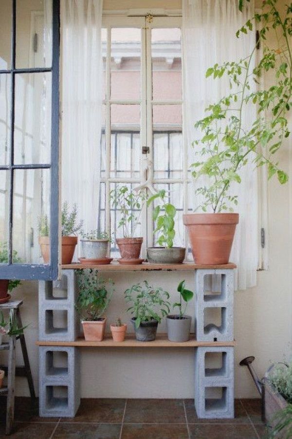 Want to grow an indoor garden from upcycled items at your home? Learn about these 14 Indoor Garden Ideas!