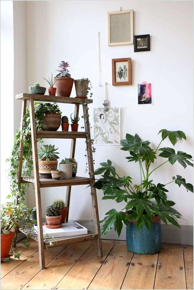 ladder planter
