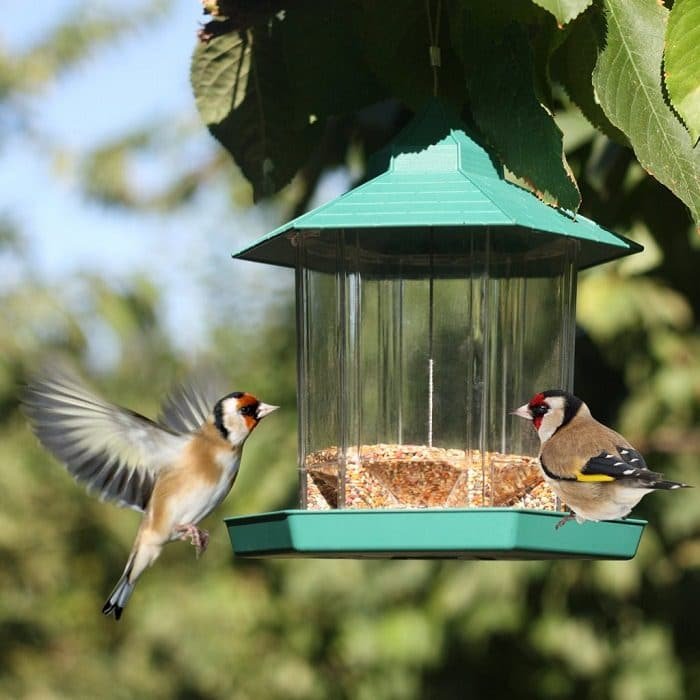 add a bird feeder to your garden to provide alternative food source to birds