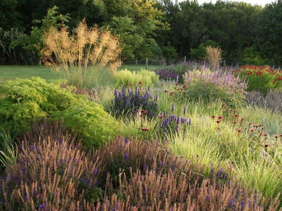 5 Ways to Encourage Wildlife into your Garden | Balcony Garden Web