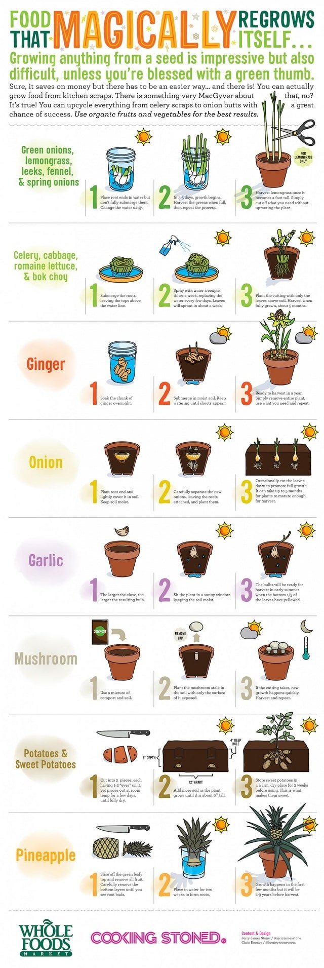 regrow-food-from-kitchen-scraps-inf