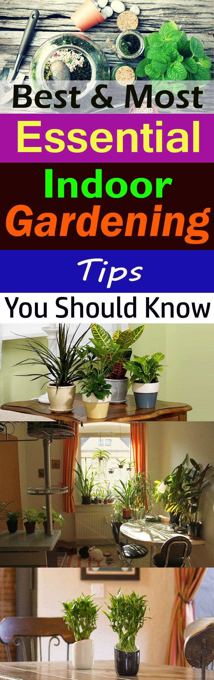 Whether you want to make an indoor garden or you already have one-- Check out some of the best & most essential indoor gardening tips for help!