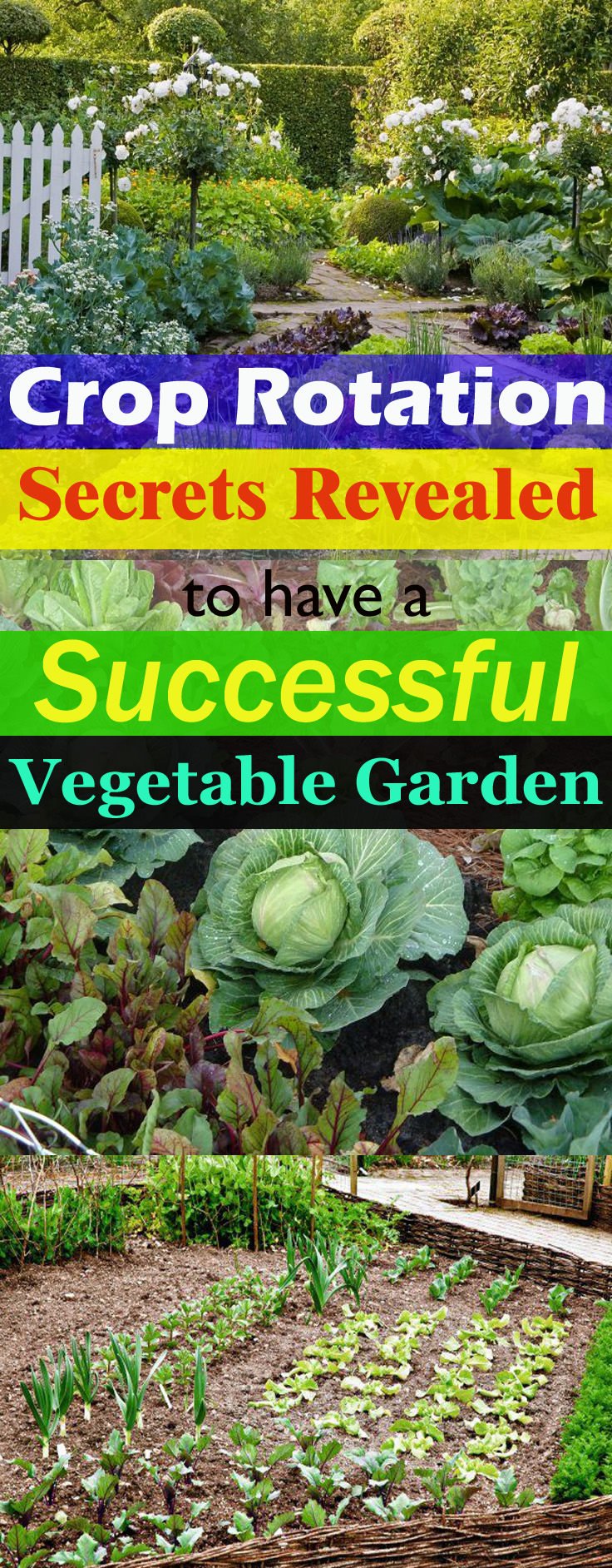 If you want to have a successful and most productive VEGETABLE garden, do crop rotation. Learn everything you need to know about it in this informative guide!