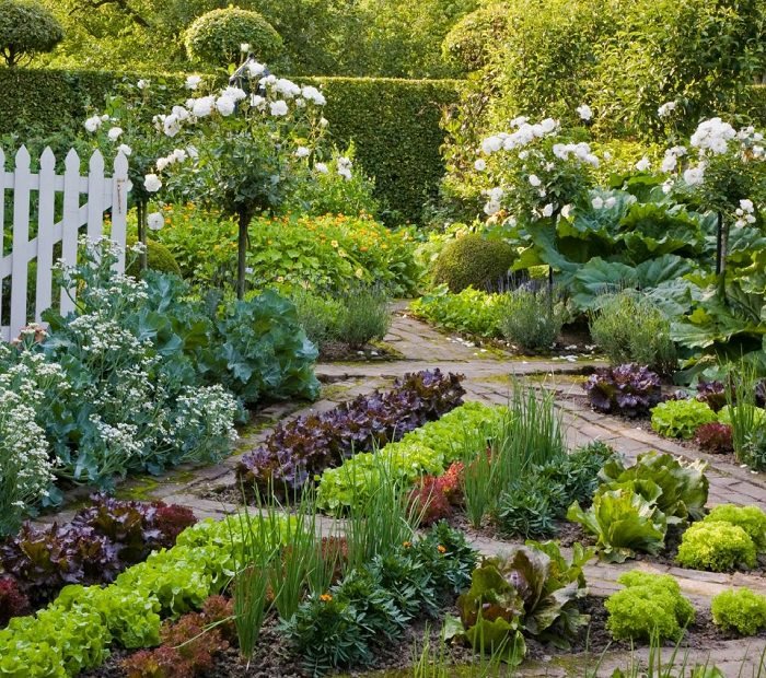everything-you-need-to-know-about-vegetable-crop-rotation-2