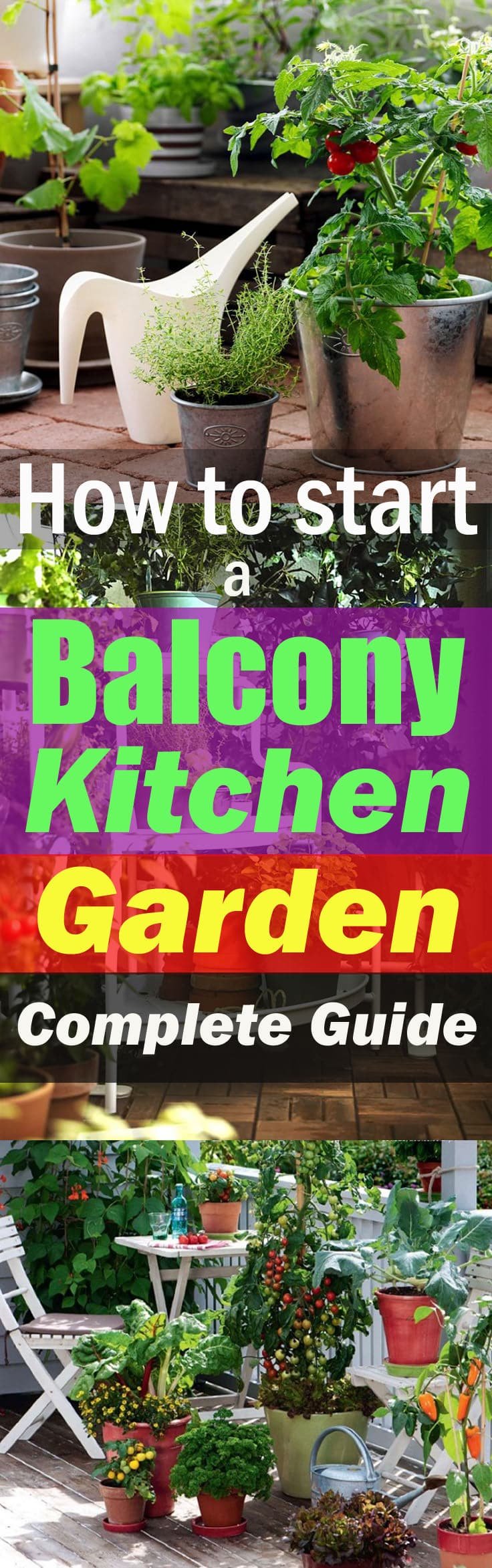 Instead of having a dull and deserted balcony, use it to create a Balcony Kitchen Garden where you can grow fresh organic food. Read on!