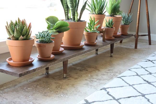 simple-wooden-plant-stand