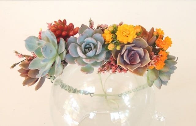 how-to-make-a-succulent-crown-1