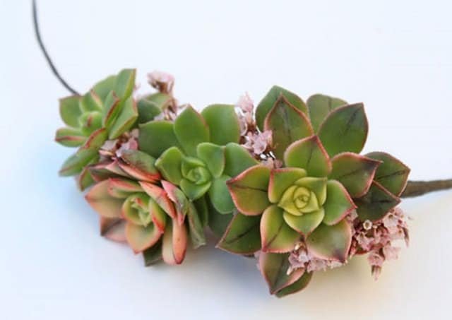 how-to-make-a-succulent-crown-3