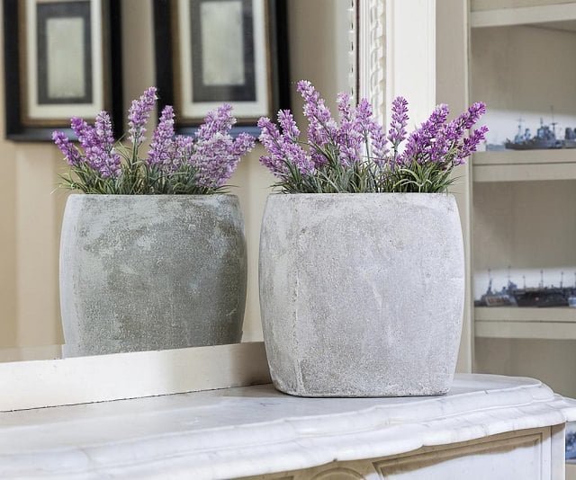 grow-lavender-indoor-for-better-sleep