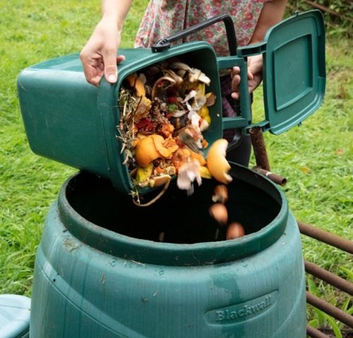 Compost Challenges and Solutions