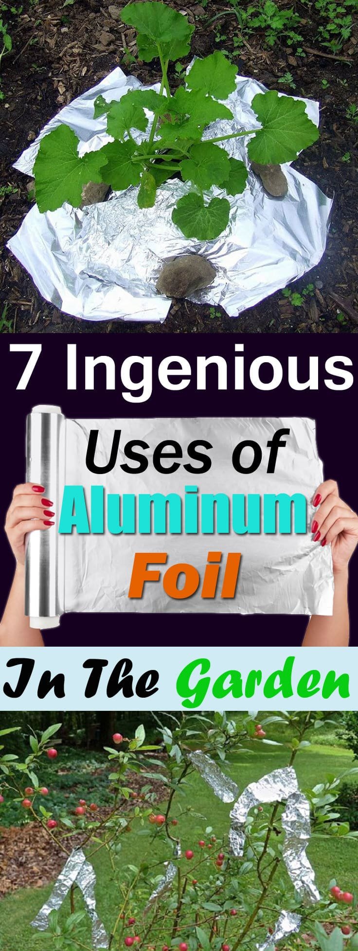 Aluminum foil has so many uses in the kitchen and home but do you know it is also useful in the garden? Check out the 7 best Aluminum Foil Uses in the garden!