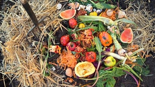 ngredients for Awesome Compost: Greens and Browns
