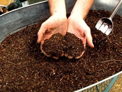 The Waiting Game: Is Your Compost Ready