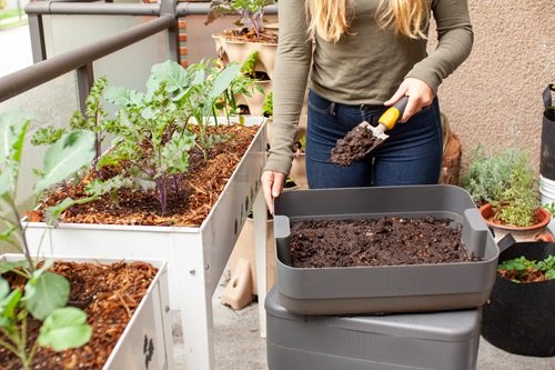 Using Your Compost in the Garden