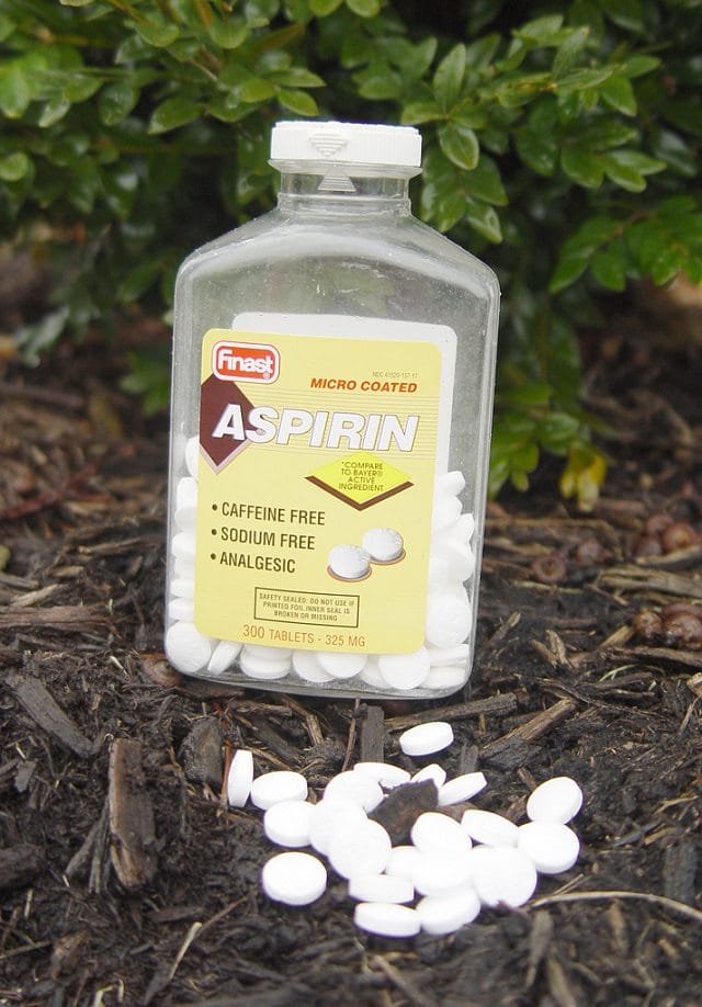 aspirin uses in garden 3