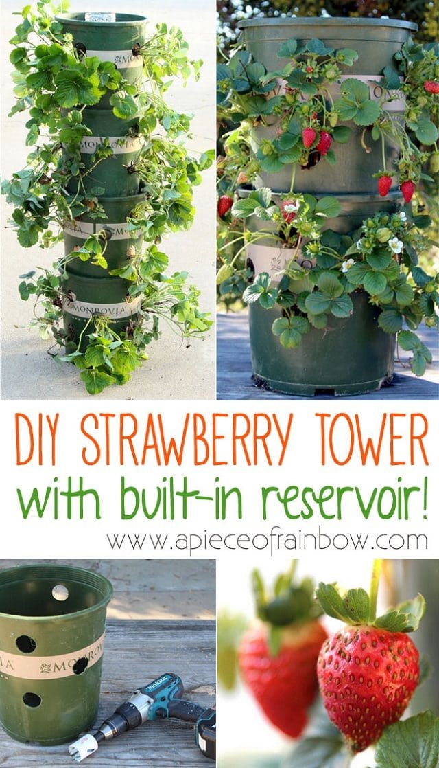 DIY STRAWBERRY TOWER WITH RESERVOIR