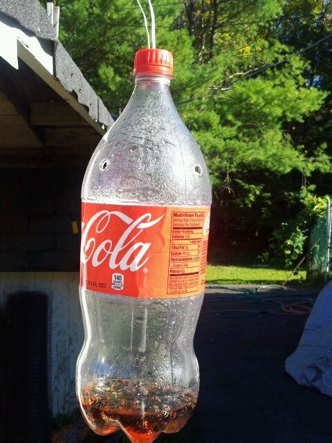 Coca-Cola Uses In The Garden 2