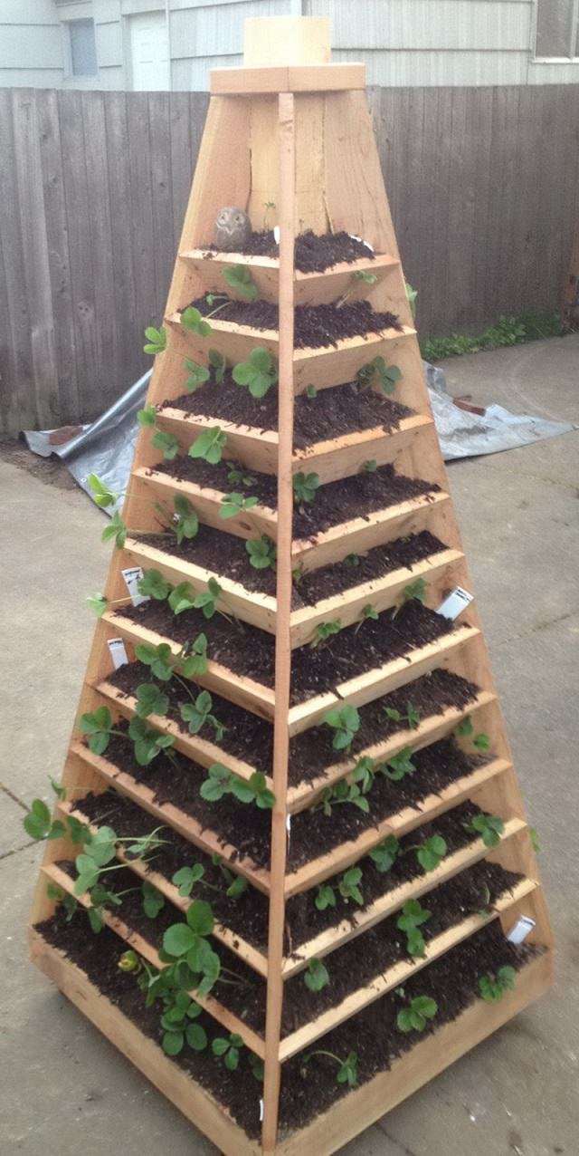 Vertical Strawberry Pyramid