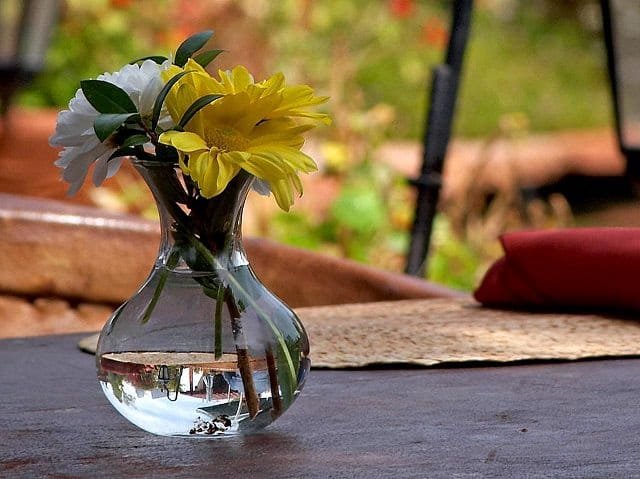cut flowers in vase