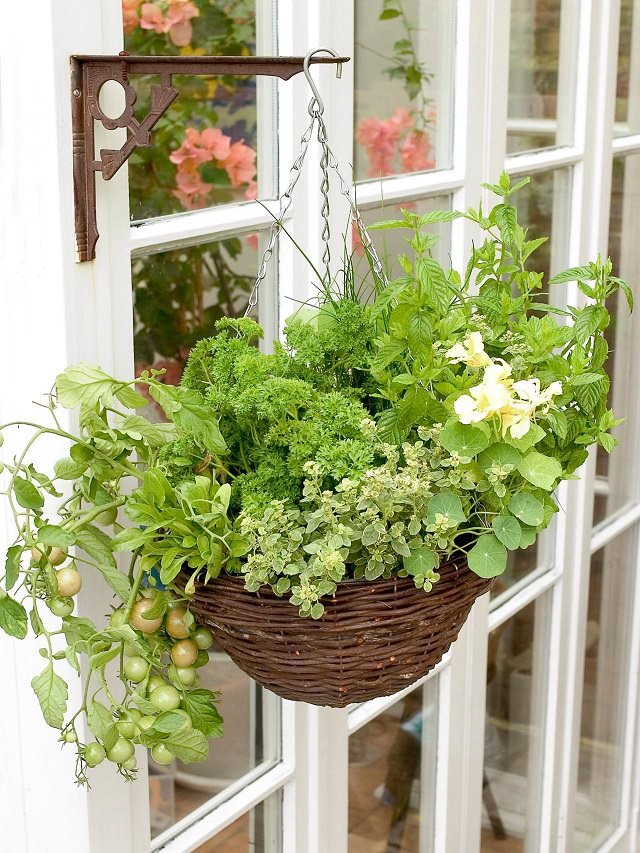 Growing herbs, greens, and even cherry tomatoes is possible in hanging baskets. Credit: HGTV
