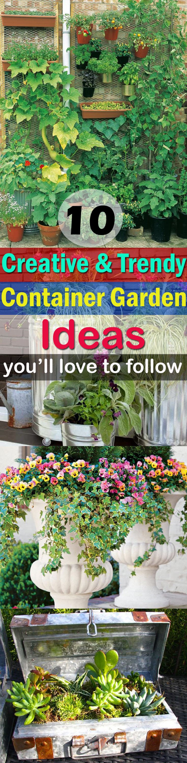 Make your container garden interesting by applying a few of these trendy Container Gardening Ideas. Check out!