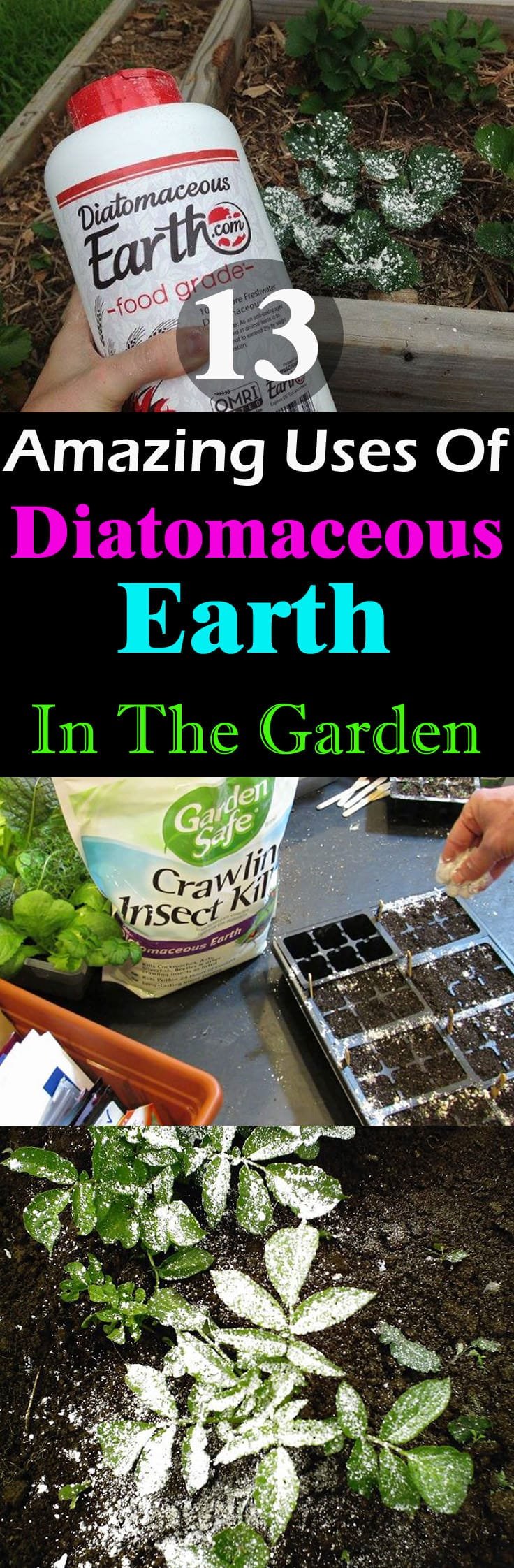 This naturally occurring substance can be used for so many things in the garden. Must check out these 13 Diatomaceous Earth Uses to learn more!