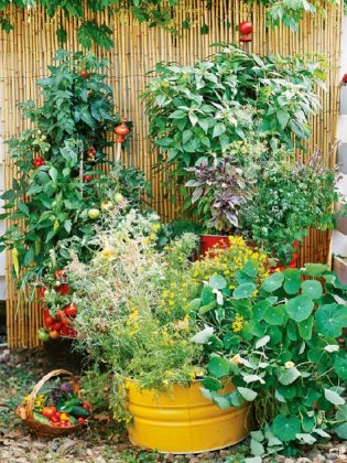 22 Stunning Container Vegetable Garden Design Ideas & Tips