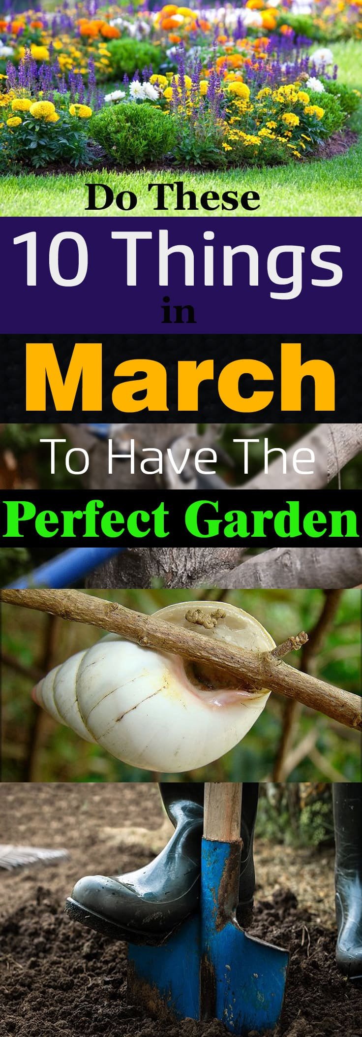 See the checklist of 10 important things you can do in March in the garden as the spring is about to come and gardening season is beginning!