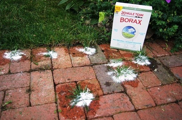 Unbelievable Borax Use