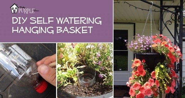 diy self watering hanging basket