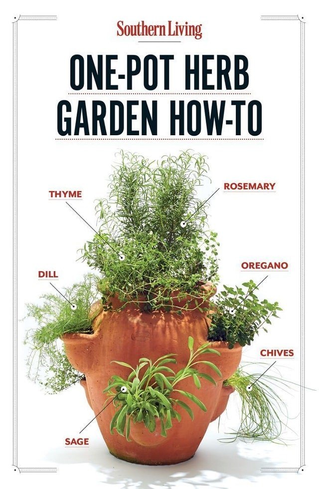 one pot herb garden