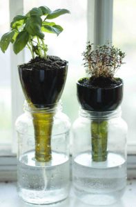 20 Best DIY Self-Watering Container Garden Ideas