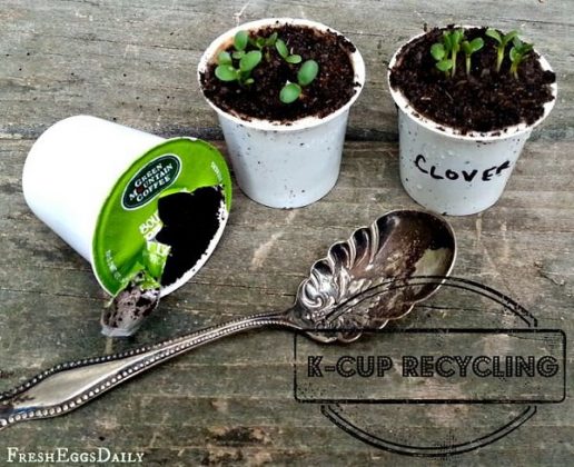 26 DIY Seed Starting Hacks To Make Planting Seeds Cheaper