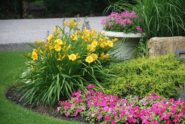 These Amazing Tips Will Keep Your Plants Blooming Continuously and Longer 4