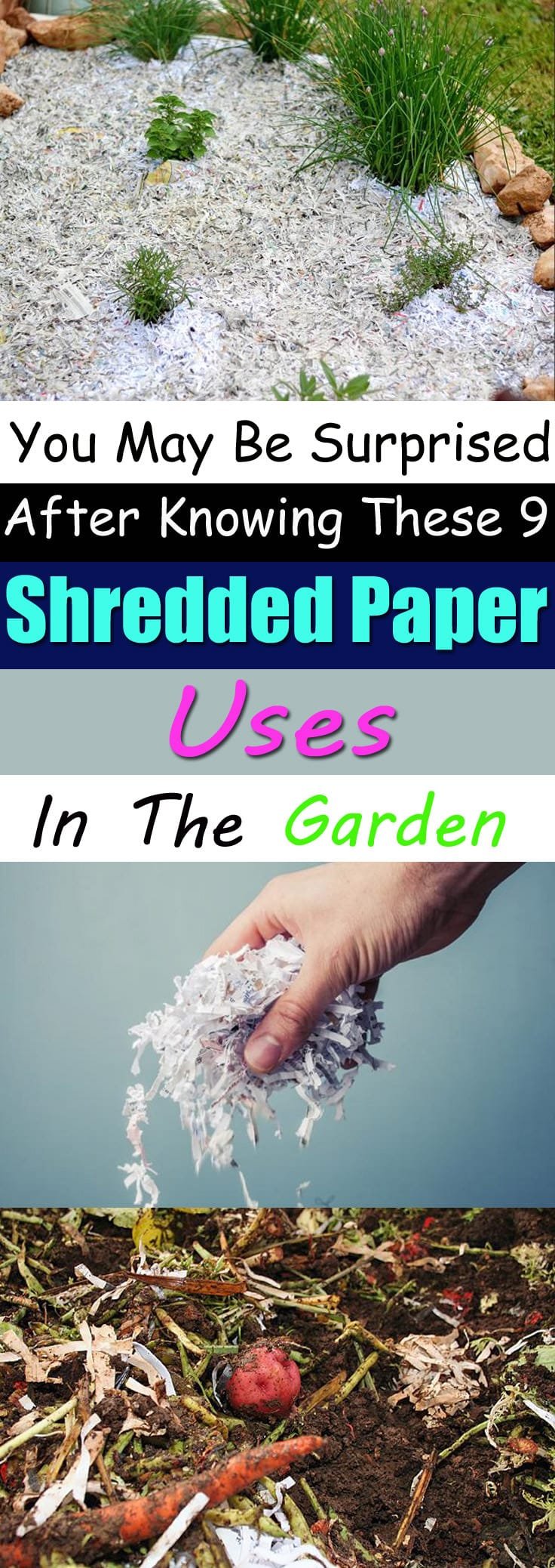 What a fab way to eliminate unused papers. Here're 9 ways to use Shredded Paper in your garden. Check out! 