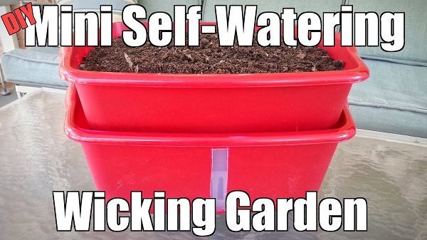 diy self watering container garden ideas 1