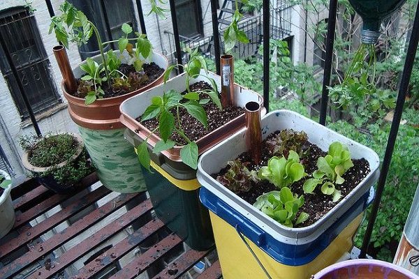 diy self watering container garden ideas 10