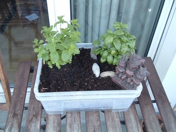 diy self watering container garden ideas 9