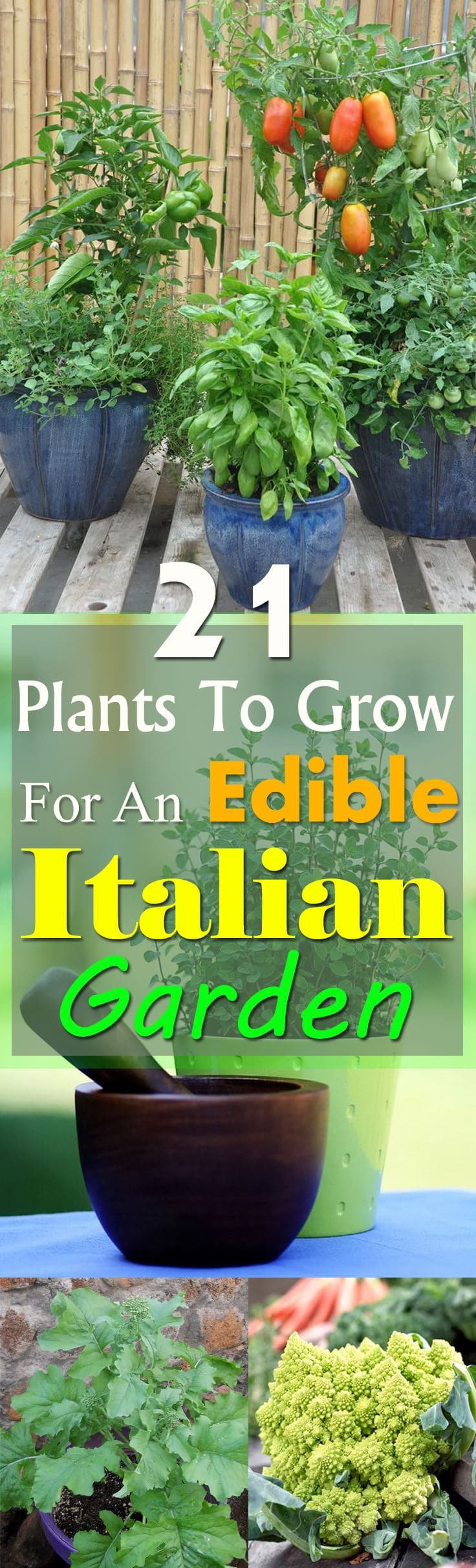 If you love Italian food, grow an Edible Italian Garden to have a fresh supply of tastiest vegetables and herbs. Even if you're short of space, you can grow them in containers!
